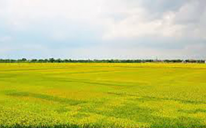 Hội thảo lịch sử Đảng bộ xã Tân Thịnh, huyện Nam Trực, tỉnh Nam Định