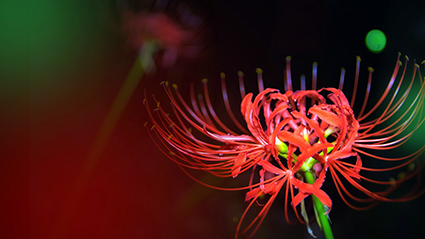 Hội thảo Lịch sử Đảng bộ xã Phú Lương 1930 – 2019