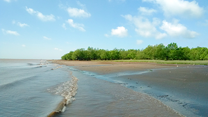 Tin hoạt động biên soạn LSĐB tại huyện Tiên Lãng, TP Hải Phòng